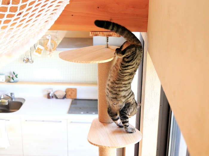 カメラ、怖かった？（テクニック1）