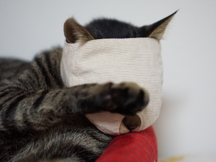 「おやすみ。あっこのまま寝たらダメ、起きた時何も見えなくてびっくりするから」