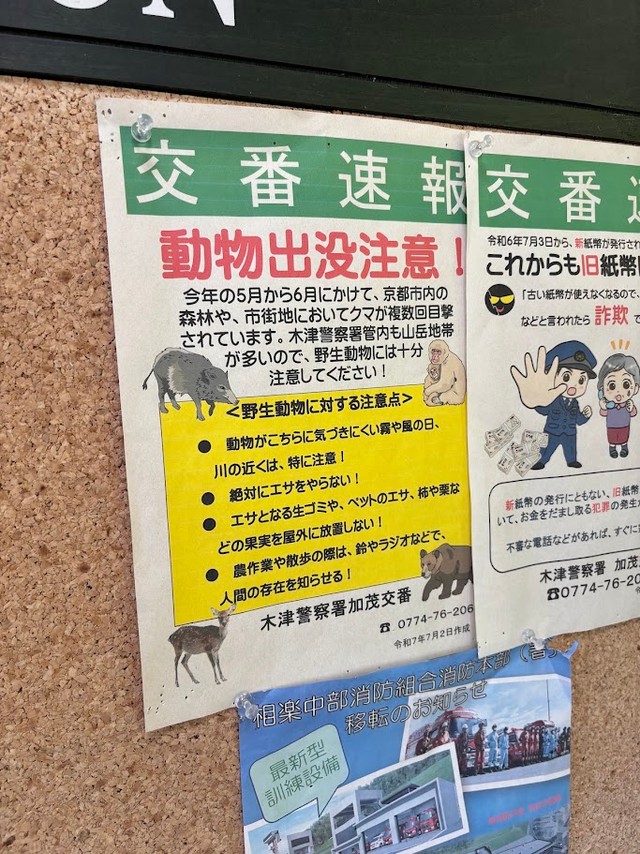 木津川市では実際に熊らしき動物の出没が報告されている（MTさん提供）