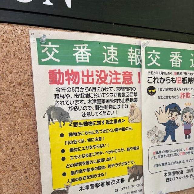 木津川市では実際に熊らしき動物の出没が報告されている（MTさん提供）