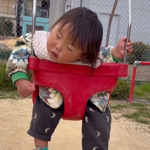 ゆらゆら気持ち良い揺れに……（提供：＠ikukyu_vlogさん）
