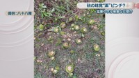 提供：八十八庵