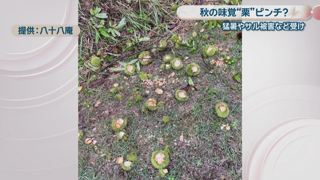 提供：八十八庵