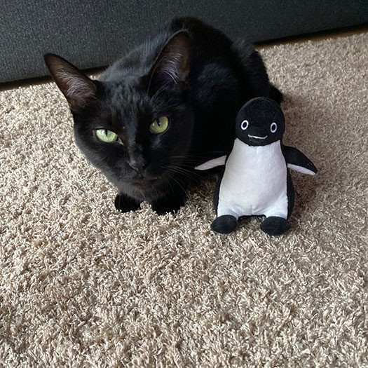 ママのデザインしたペンギンと一緒（さかざきさん提供）