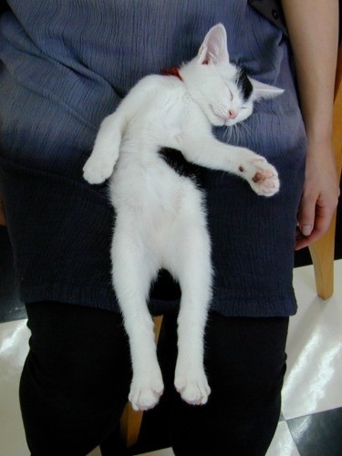 膝で寝おち（提供写真）