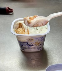 最高傑作のベークドチーズケーキができました！