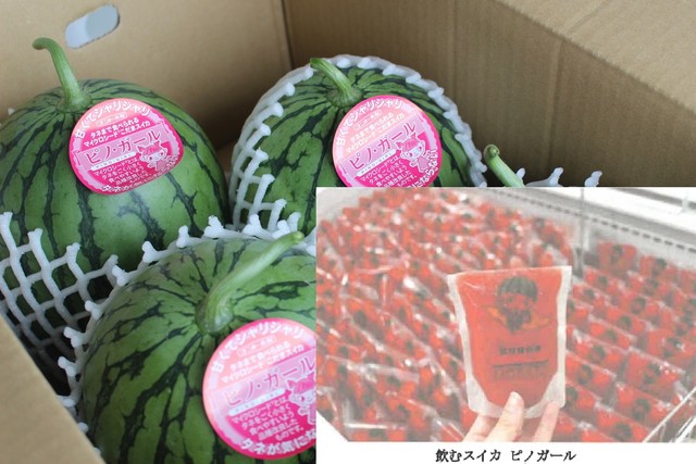 種が小さいスイカを手軽に味わえるおやつ「飲むスイカ」7月4日から販売　高松市の道の駅