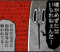知的好奇心が抑えられない！（ゆう｜ノープロブレムキャットさん提供）