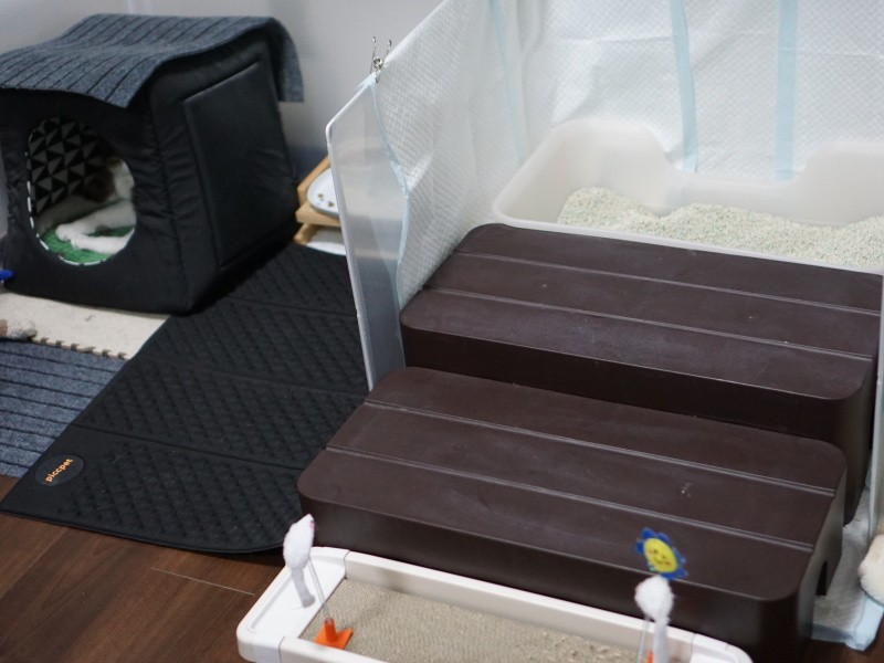 ホームセンターで見つけた踏み台を重ねて“トイレへの階段”にした。砂が漏れないようにへこんだ入り口は逆側に。「五右衛門が自力で登れる一番の高い所がおトイレの階段。時々崖の上のライオンキングのように、立派な姿を見せてきます」とかおりさん