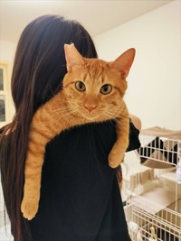 臆病だけどどんな猫にもフレンドリーなツナくん（画像提供：ムチミルさん）