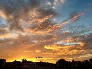 言葉をのみこんでのみこんで…腕にできた相棒「ガリガリちゃん」