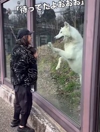 パパを見つけてジャンプ！！（提供：＠bokumarleyさん）
