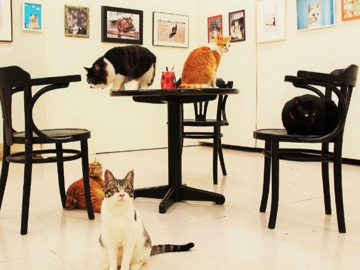 本館奥の部屋でまったりするグループ。