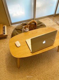 1月にもZoom会議に参加していたホルン君（@sco_horn）