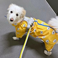 雨の日の散歩。レインコートがよく似合うハニちゃん（画像提供：薄茶のいぬさん）