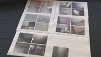 旧香川県立体育館の解体工事　高松市などがアスベスト調査を現地確認