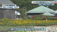 二十四の瞳映画村　香川・小豆島町　3日
