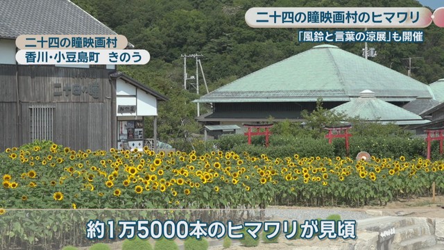 二十四の瞳映画村　香川・小豆島町　3日