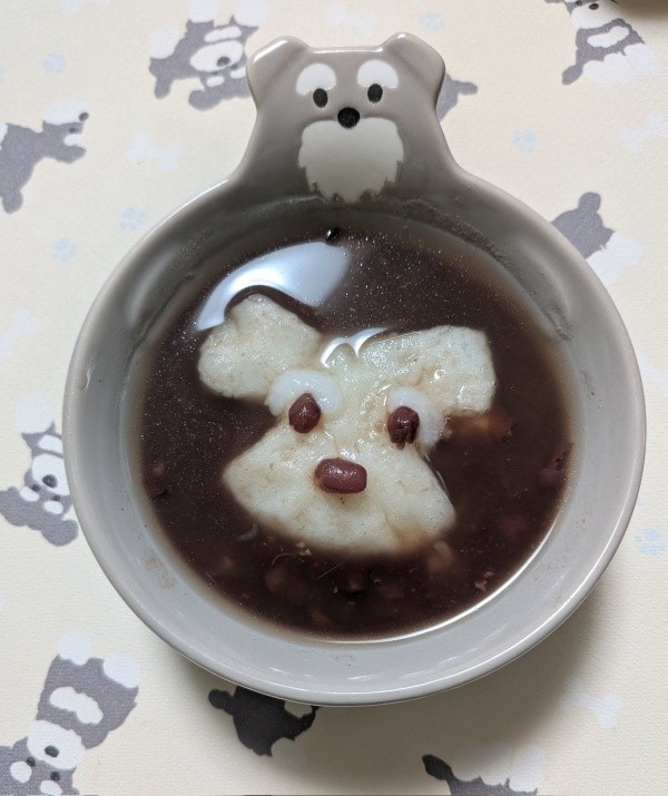 シュナウザーのお汁粉（画像提供：シュナファイブさん）