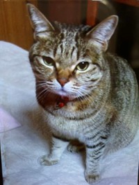 こんな可愛い子が訪ねてきたら、嬉しいですよね