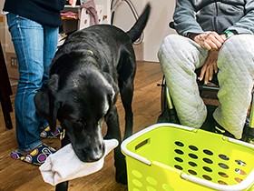 育て上げた介助犬は２０頭以上　訓練士の水上言さん