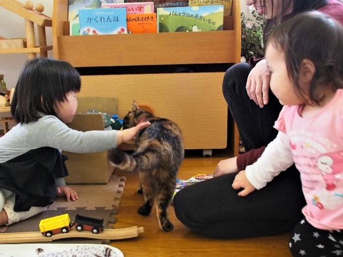 子どもたちはみな、猫が好き