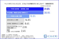 ペットが亡くなったとき、どういう供養を行ったか