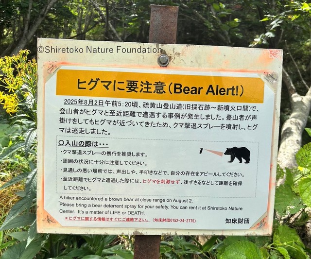 2025年8月2日に発生した「ヒグマ」との遭遇事案に対する警告看板（画像提供：公益財団法人 知床財団）