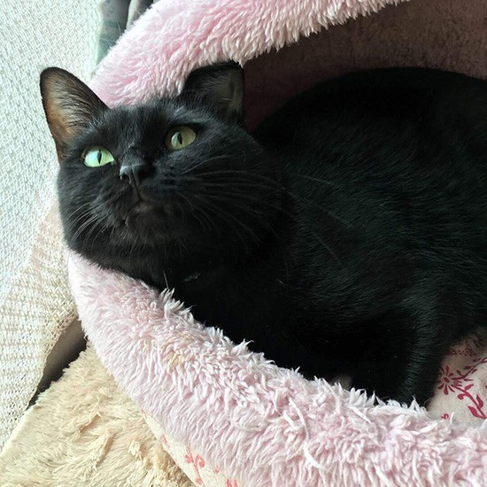 「逃げ腰のとこもあるけど、落ち着いたの私」（雅子さん提供）