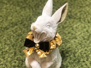 さくらだふぁみりあ