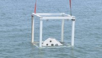 海藻育てる構造物を海に設置　大阪・関西万博のモニュメントも活用　高松市