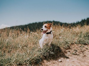 ひたすら幸せな日々はあなたと共に。大好き。18年分のラブレター