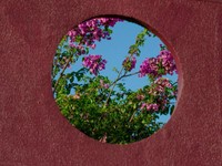 穴のあるまま生きることを選ぶ。不完全さがくれたのは赦しだった