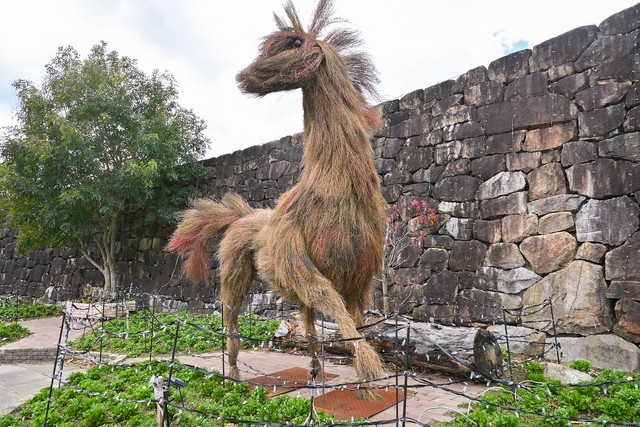 国営讃岐まんのう園のコキアの枝で制作　2026年の干支「午」のオブジェがお出迎え　香川