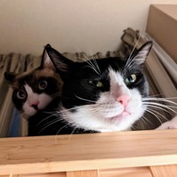 気がつけば見下ろされていた。