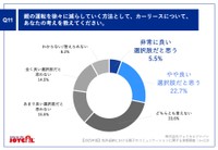 カーリースをどう思うか