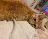 ママの膝の上で甘える