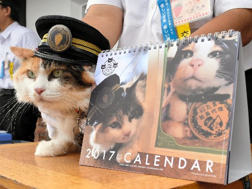 和歌山電鉄の猫駅長「ニタマ」＆「たま」がカレンダーに