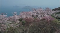 【資料画像】紫雲出山