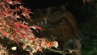 白峯寺のライトアップの様子（2024年11月撮影）
