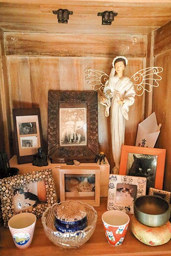 歴代の飼い猫たちの写真を飾ったコーナー