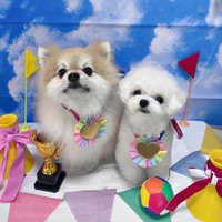 仲良くパシャリ！ （左から）そるくん、うるちゃん（画像提供：ぷりてぃーぬさん）