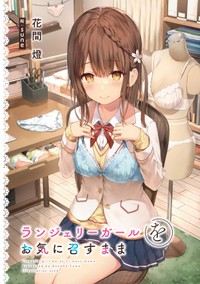 ライトノベル「ランジェリーガールをお気に召すまま」書影（ＫＡＤＯＫＡＷＡ）
