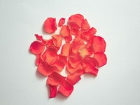 いじる彼女達も、嫌だと言えない私も。あの頃全員が未熟だった