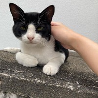 初めて触らせてくれた時。まだ厳しい顔つきをしている。