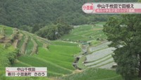 中山千枚田　香川・小豆島町