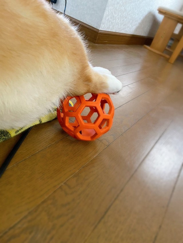 別のアングルから見たオットマンの役割を果たすボール（提供：こたろうさん）