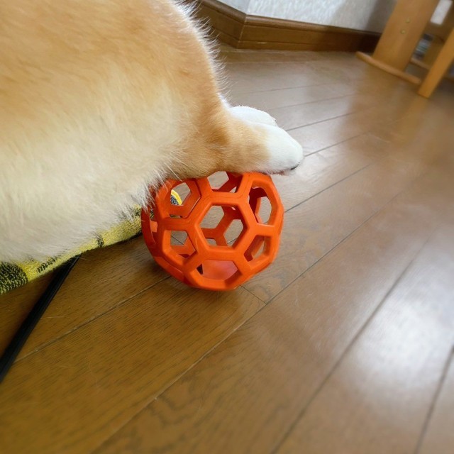 別のアングルから見たオットマンの役割を果たすボール（提供：こたろうさん）