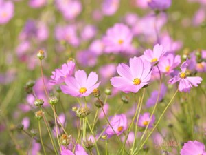 恋人と友人から裏切られて失恋。私の「心の傷」はまだ癒えそうにない