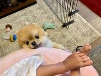 赤ちゃんの様子を気にかけているよう（ミサイルさん提供）